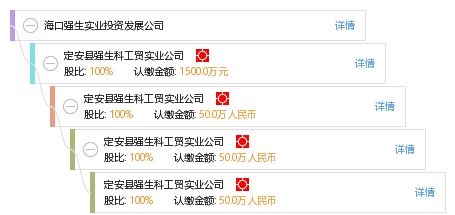海口強生實業投資發展公司 專業投資咨詢服務，助力企業卓越成長